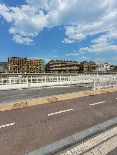 Rhodesian Ridgeback-Beitrag-Bild