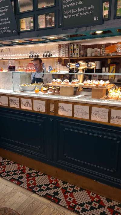 Rhodesian Ridgeback-Beitrag-Bild