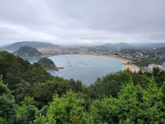 Rhodesian Ridgeback-Beitrag-Bild