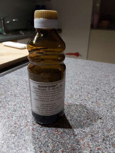 Rhodesian Ridgeback-Beitrag-Bild