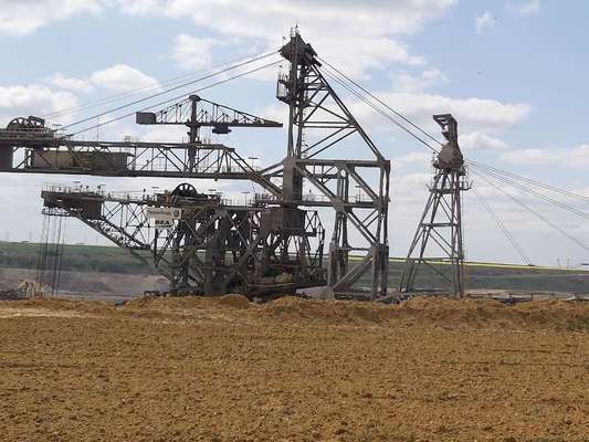 Rhodesian Ridgeback-Beitrag-Bild