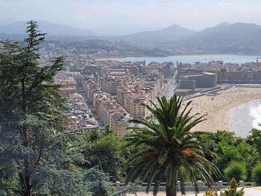 Rhodesian Ridgeback-Beitrag-Bild