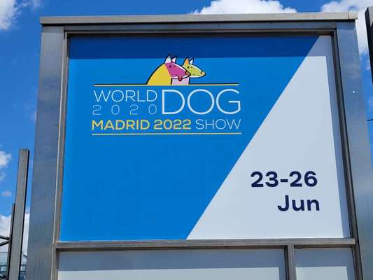 Rhodesian Ridgeback-Beitrag-Bild