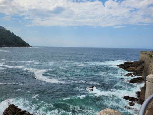 Rhodesian Ridgeback-Beitrag-Bild