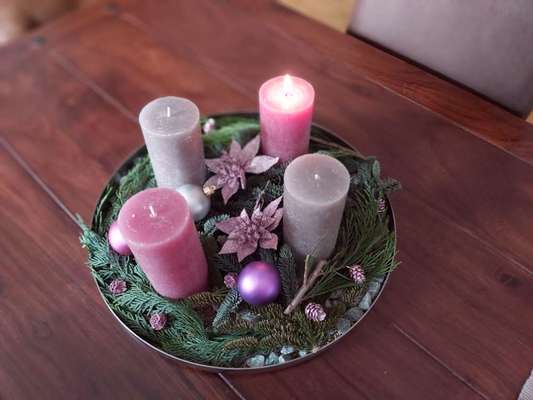 Rhodesian Ridgeback-Beitrag-Bild