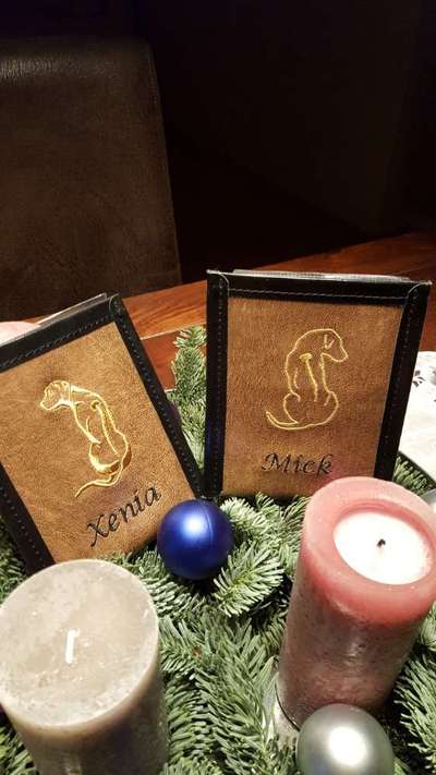 Impfpasshülle ja/nein?-Beitrag-Bild