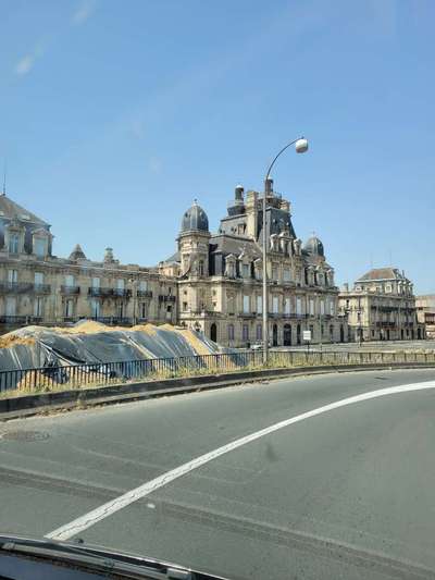 Rhodesian Ridgeback-Beitrag-Bild