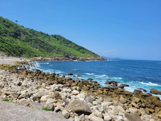 Rhodesian Ridgeback-Beitrag-Bild