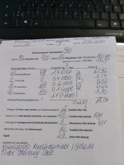 Rhodesian Ridgeback-Beitrag-Bild