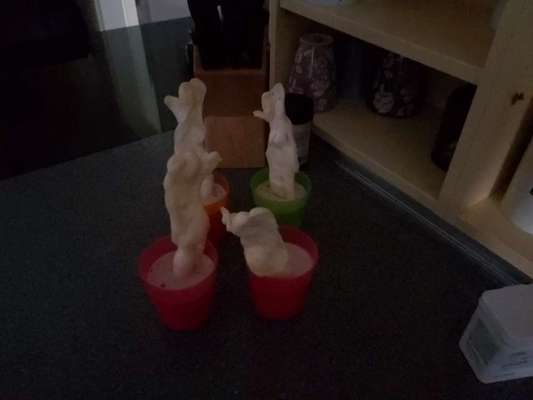 Rhodesian Ridgeback-Beitrag-Bild