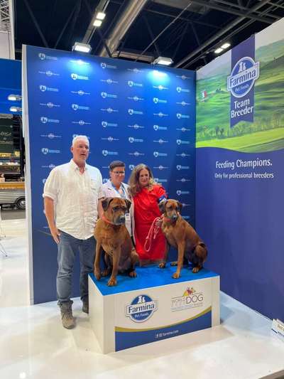 Rhodesian Ridgeback-Beitrag-Bild