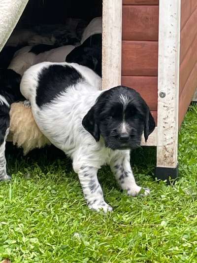 Theos  Fotochallenge Nummer 2-Beitrag-Bild