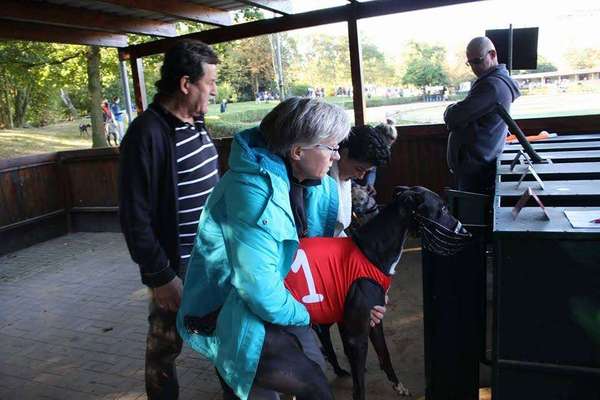 Windhunde - Treffen der besonderen Schönheiten
HERZLICH WILLKOMMEN-Beitrag-Bild