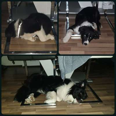 Die unbequemsten und lustigsten Schlafpositionen-Beitrag-Bild