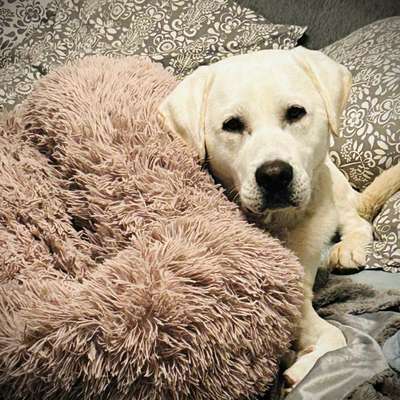 Alexandra's Profilbild