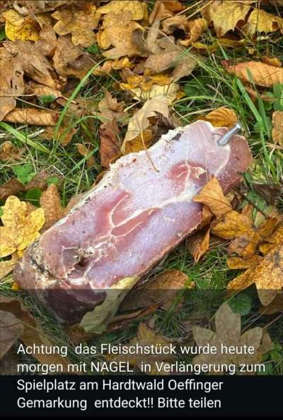 Giftköder-Giftköder Fleisch mit Nagel-Bild