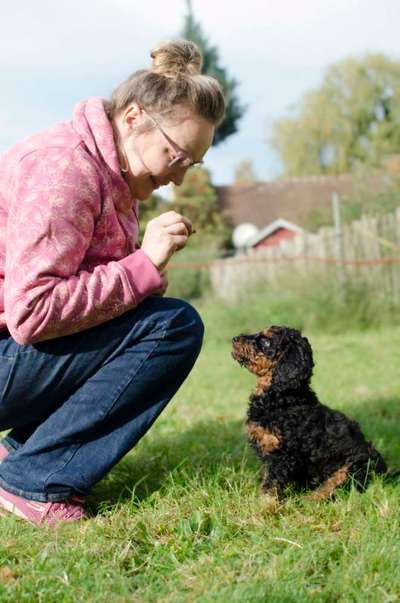 Giftköder-BEGINNER-SCHNUTEN-Bild