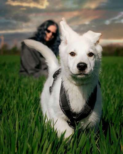 Fotowettbewerb Natur-Beitrag-Bild