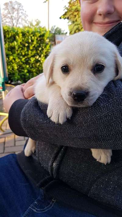 Fotochallenge Nr. 67: Euer Lieblingsbild-Beitrag-Bild