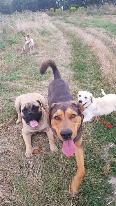 FOTOCHALLENGE 68: Dein Hund und sein bester Freund-Beitrag-Bild