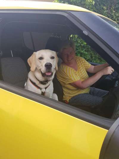 FOTOCHALLENGE 70 - Dein Hund im Auto-Beitrag-Bild