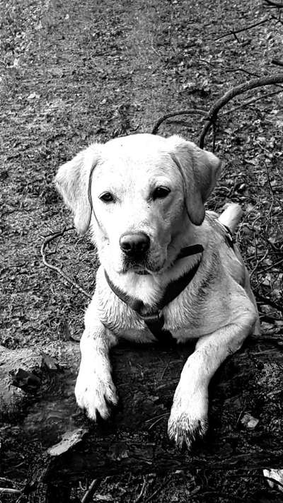 Foto-Challenge 76: Foto in Schwarz-Weiss-Beitrag-Bild