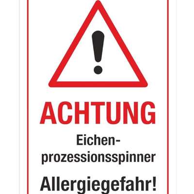 Giftköder-Eichen-Prozessionsspinner!!-Bild