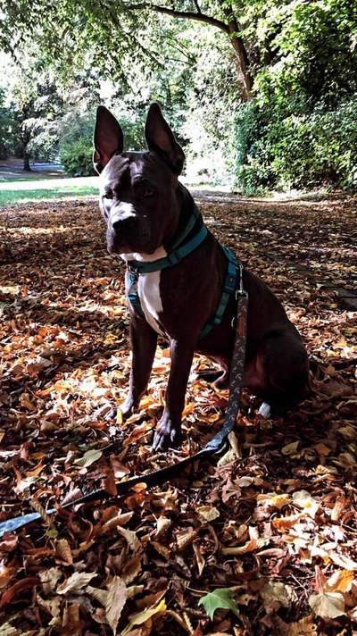 Foto Challenge 2 BEENDET 
Bitte aktuelle Challenge nutzen-Beitrag-Bild