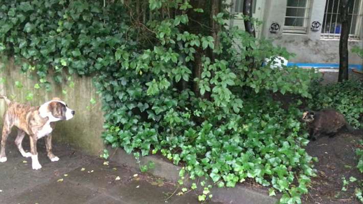 CHALLENGE Nr.17-Beitrag-Bild