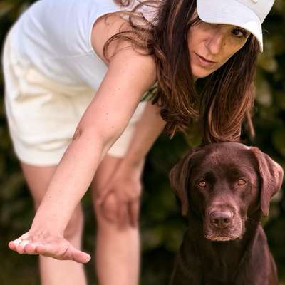 Hundetreffen-Gemeinsames Dummytraining-Bild