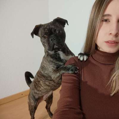 Hundetreffen-Spaziergang /gemeinsames Spiel-Profilbild