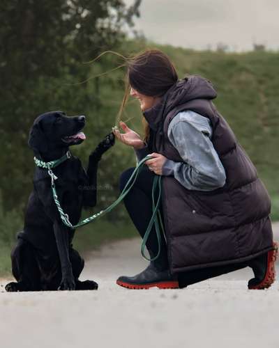 Hundetreffen-„Social Walks“-Bild