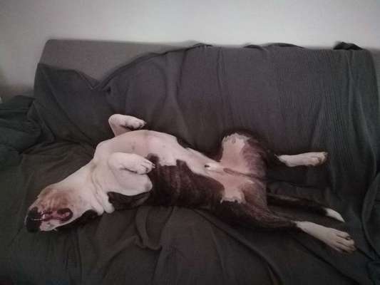 Schlafposition-Beitrag-Bild