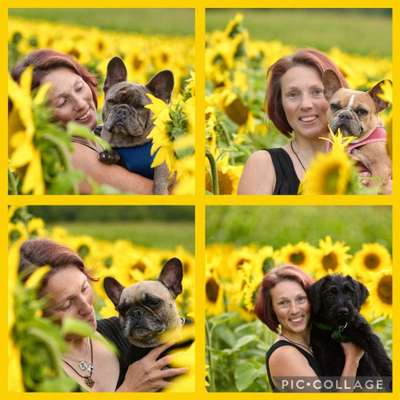 Hundefriseure-Fell-issimo Hunde- & Katzensalon-Bild