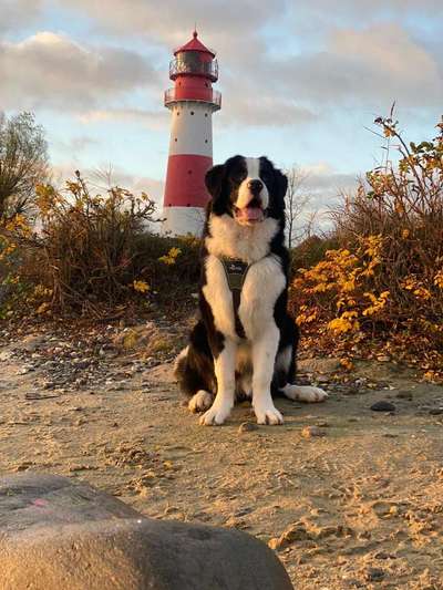 Lieblingsbild-Beitrag-Bild