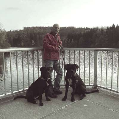 Hundetreffen-Wochenend Runde-Profilbild