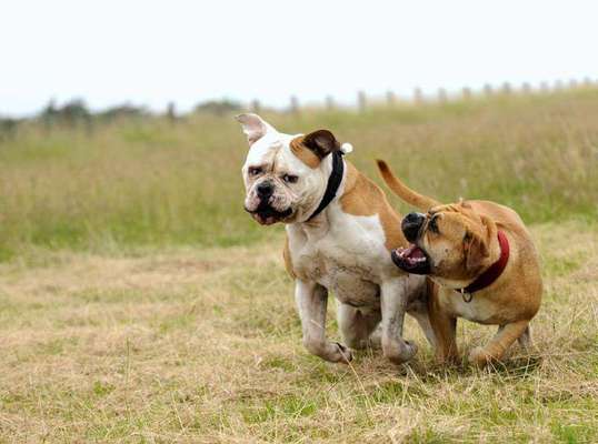 Austausch zur Fotografie-Beitrag-Bild