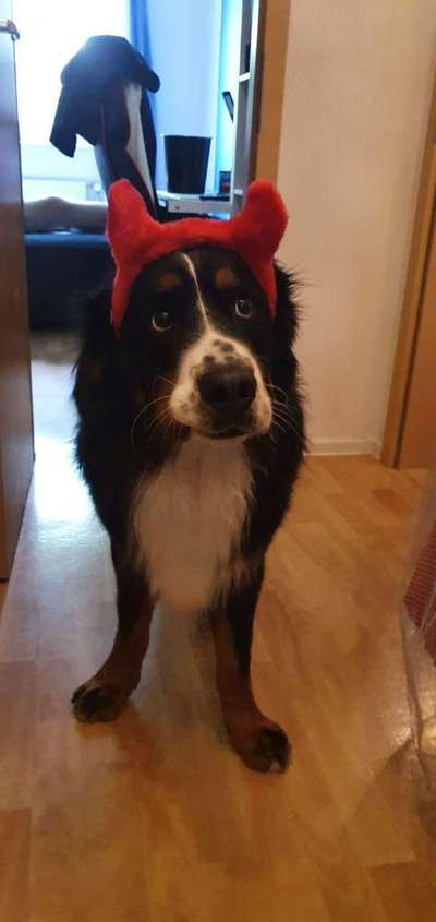 Fotochallenge No. 5-Beitrag-Bild