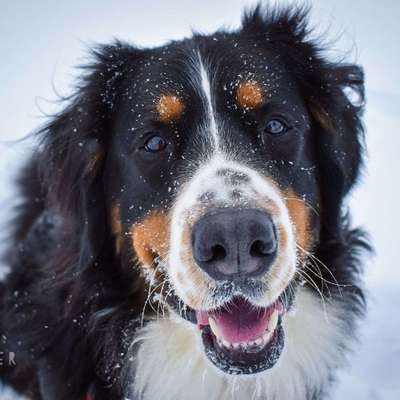 Blick fürs Detail!-Beitrag-Bild