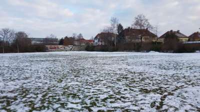 Hundeauslaufgebiet-Theklaer Straße-Bild