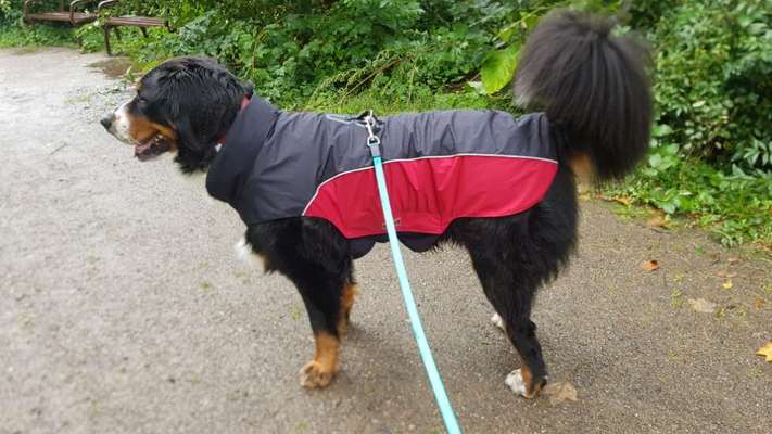 Pullis, Jacken, Hütte und alles sonstiges-Beitrag-Bild