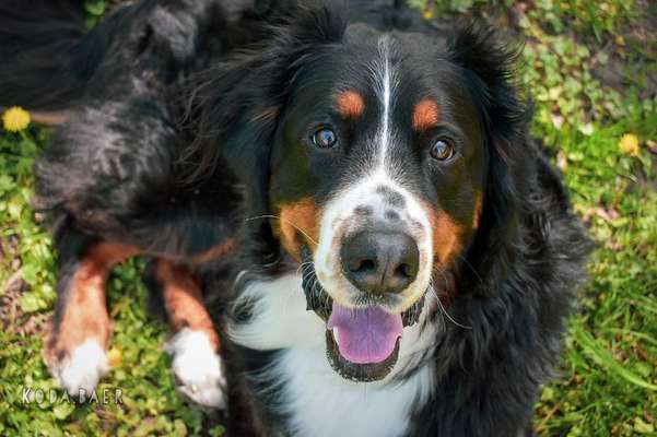 Blick fürs Detail!-Beitrag-Bild