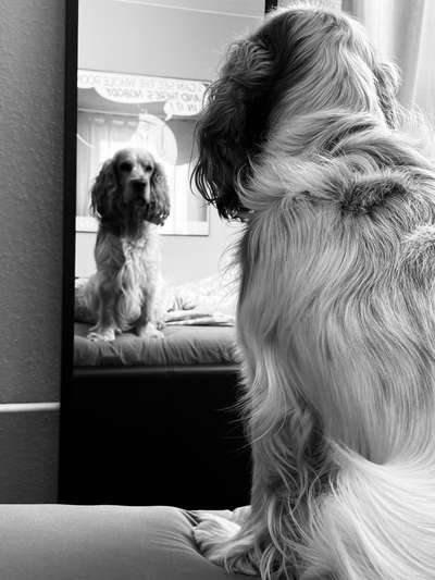 Foto-Challenge 76: Foto in Schwarz-Weiss-Beitrag-Bild