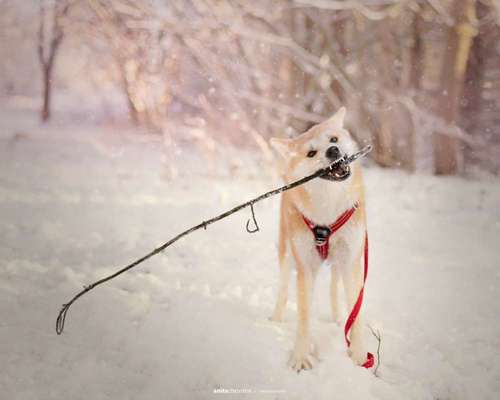 Challenge Nr. 15
Spiel im Schnee-Beitrag-Bild