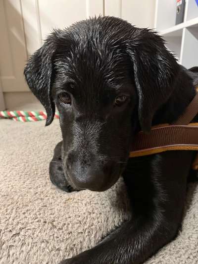 Fotochallenge Nr. 67: Euer Lieblingsbild-Beitrag-Bild