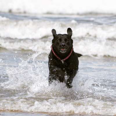 Fotochallenge Nr. 67: Euer Lieblingsbild-Beitrag-Bild