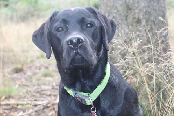 Fotochallange Nr. 57     PORTRÄT.   Beendet!!!!!!!!-Beitrag-Bild