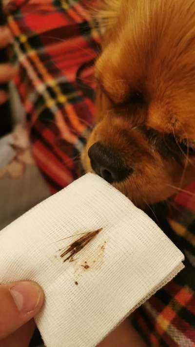 Grannen-Beitrag-Bild