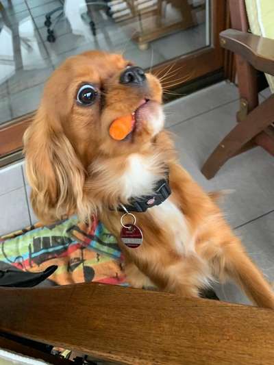 Lustige Grimassen & verrückte Posen-Beitrag-Bild