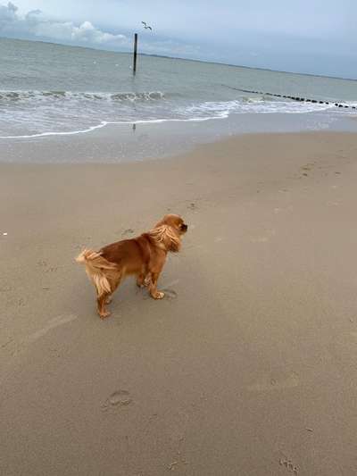 Foto-Challange No.1 - Alles aber nicht die Kamera-Beitrag-Bild